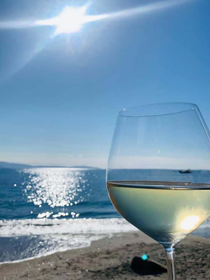 Palm Beach Ajaccio  Ngoại thất bức ảnh